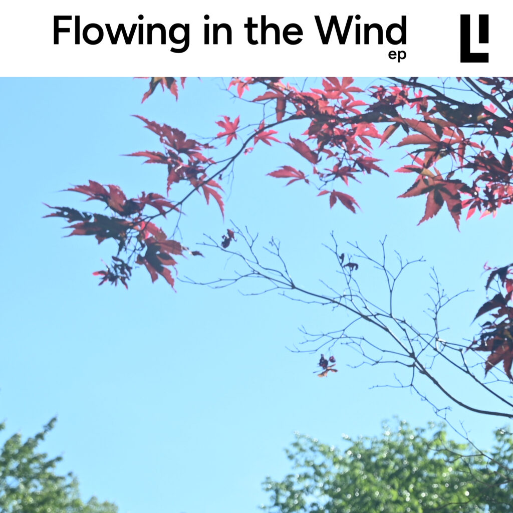 Flowing in the Wind EP cover